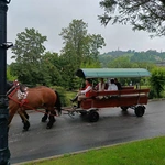 Bp Greger w Istebnej