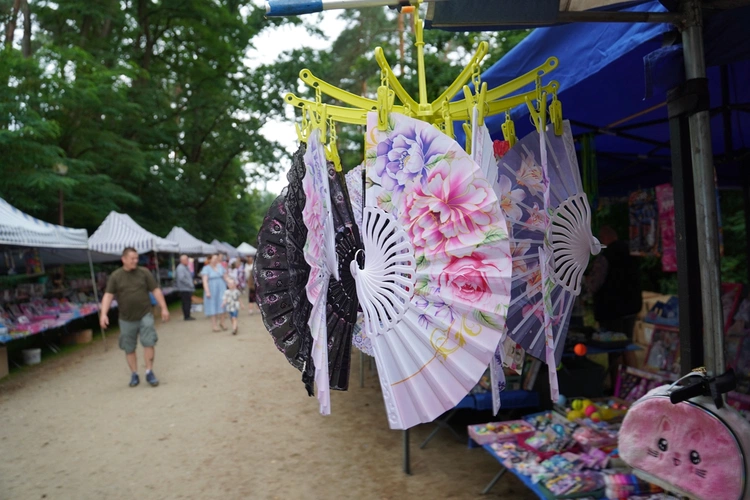 U św. Anny w Miliczu