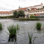 Praga