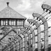 Świadkowie płonących pieców. Byli więźniowie Auschwitz z detalami zapamiętali piekło na ziemi, którego doświadczyli