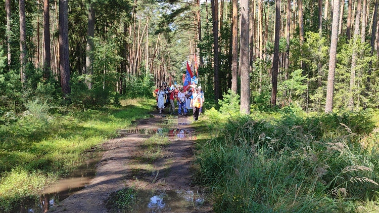 Ramiona pątników