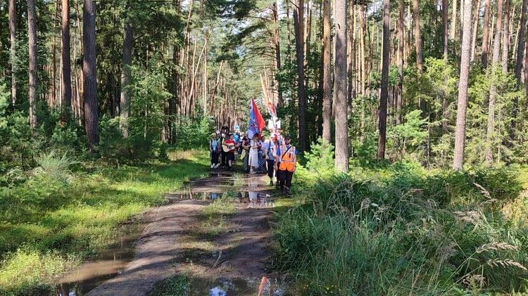 Ramiona pątników