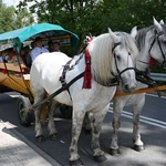 Dożynki Starobystrzańskie