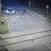 Mikołów. Dziecko bawiło się na torach. Policjanci zabrali go w ostatnim momencie