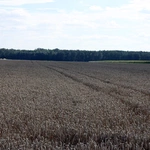 PPW 2025. Oleśnica - Namysłów - cz. 5