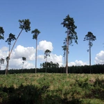 PPW 2025. Namysłów - Wierzbica Górna cz. 4