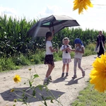 PPW 2025. Namysłów - Wierzbica Górna cz. 5