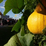 PPW 2025. Namysłów - Wierzbica Górna - cz. 7