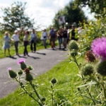 PPW 2025. Namysłów - Wierzbica Górna - cz. 7