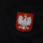 100 lat OSP w Pionkach