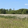Cerkiew w Supraślu