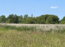 Cerkiew w Supraślu