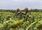 Ukraina:  Intensywne walki na kierunku pokrowskim