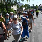 Strumień opolski w Jemielnicy