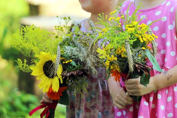 Bukiety ziół dla Maryi 
