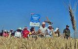 Od miłosierdzia do miłosierdzia
