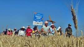 Od miłosierdzia do miłosierdzia