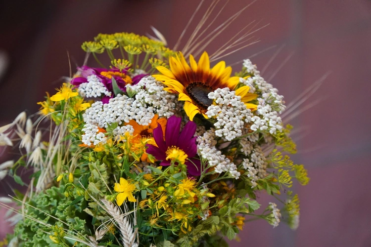 Uroczystość Wniebowzięcia NMP i Święto Wojska Polskiego w bazylice św. Elżbiety we Wrocławiu