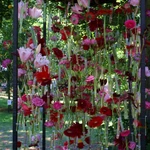 Silesian Flowers Festival w Pałacu Żyrowa