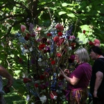 Silesian Flowers Festival w Pałacu Żyrowa