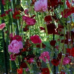 Silesian Flowers Festival w Pałacu Żyrowa