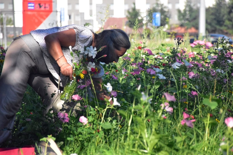 Pielgrzymi z Wrocławia dotarli do Krakowa-Łagiewnik