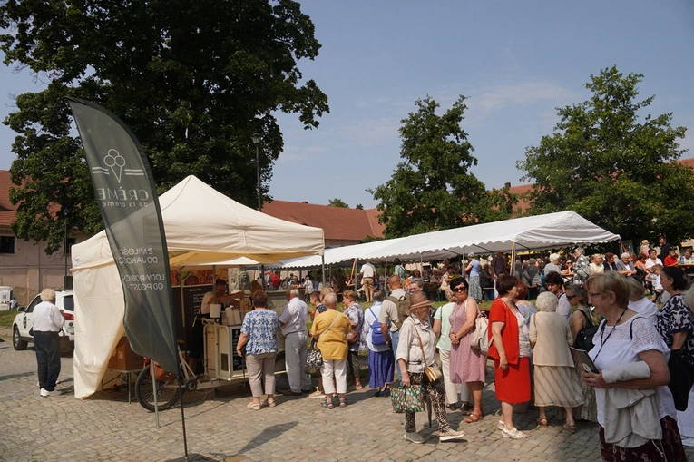 8. Pielgrzymka Wspólnot Żywego Różańca i Czcicieli Matki Bożej do Henrykowa