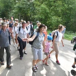 Grupa 24