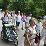 Grupa 24
