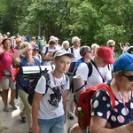 Grupa 23