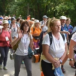 Grupa 19