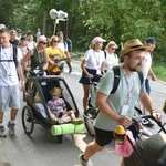 Grupa 15