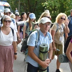 Grupa 15