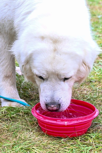 Górale z różnych zakątków świata pod Giewontem