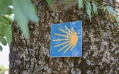 Pożary uniemożliwiają pielgrzymom podróże szlakiem Camino de Santiago