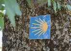 Pożary uniemożliwiają pielgrzymom podróże szlakiem Camino de Santiago