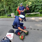 Śląskie. Policja i pogotowie apelują o jazdę w kasku na hulajnodze elektrycznej