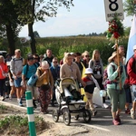 Grupa 8
