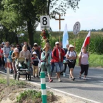 Grupa 8