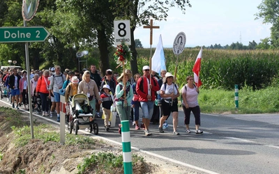 Grupa 8