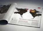 Apel wojewody do biskupa w związku z wypowiedzią proboszcza z Łąkty Górnej