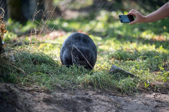 Światowy Dzień Modlitw o Ochronę Świata Stworzonego