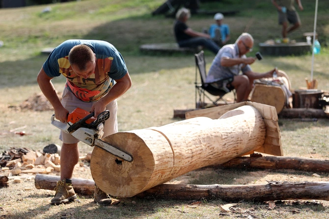 Od pierwszego cięcia 