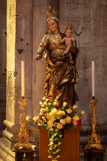 Drużyna Augustyna - Pavia