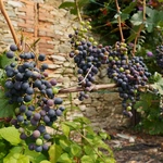 Henrykowskie zakamarki