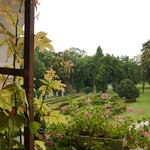 Henrykowskie zakamarki