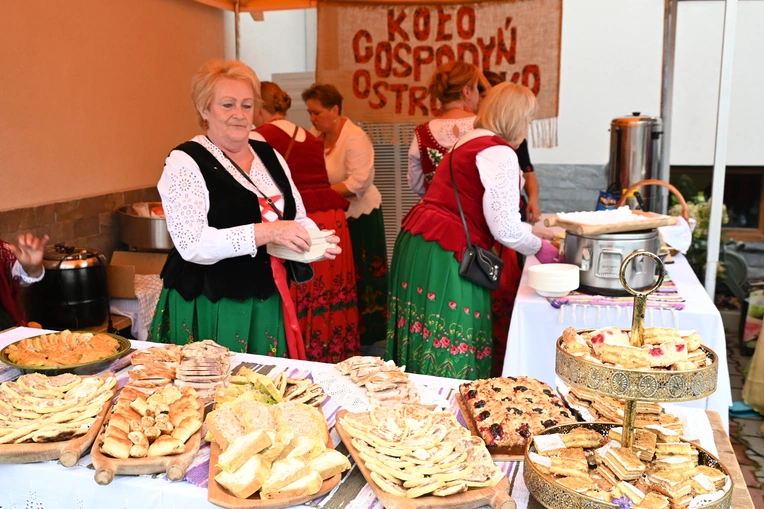 Odsłonięcie pomnika Stefana Banacha 