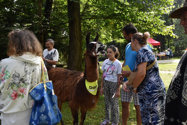 Otwarci na świat 2025