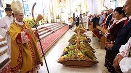 Siedem wieków wiary