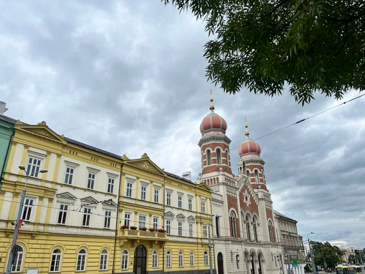 Pilzno i okolice